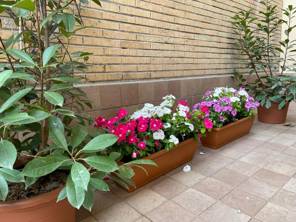 Flowers In 로마 외부 사진